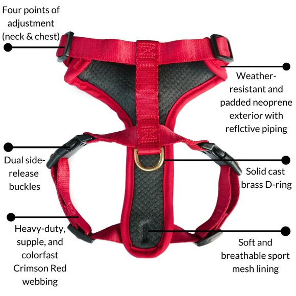 ✨NWOT✨Django Harness & Leash Set - Picture 6 of 7